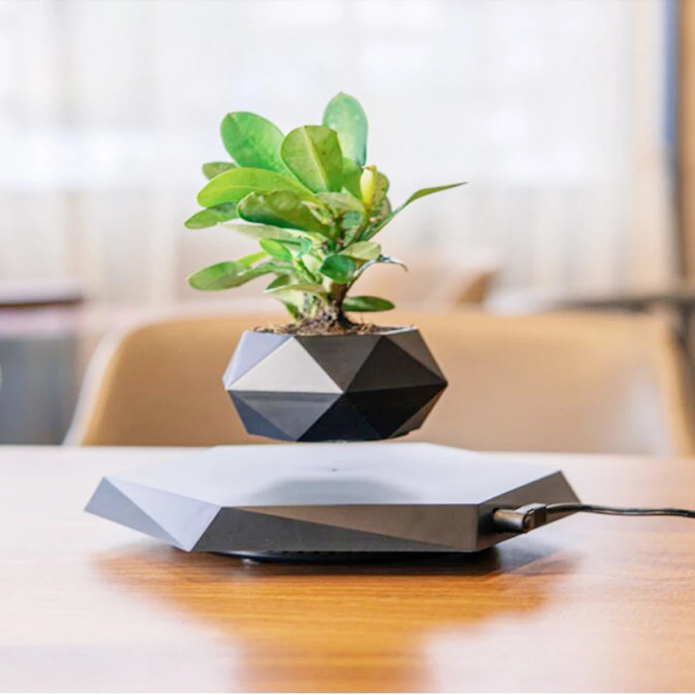 Magnetic Bonsai Pot